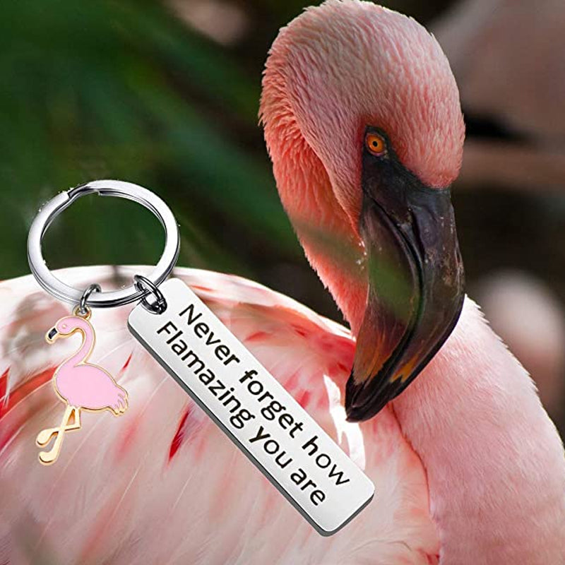 Lisslune | Motivational Flamingo Keychain