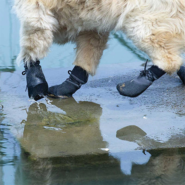 Lisslune | Outdoor waterproof breathable hiking running non-slip dog shoes