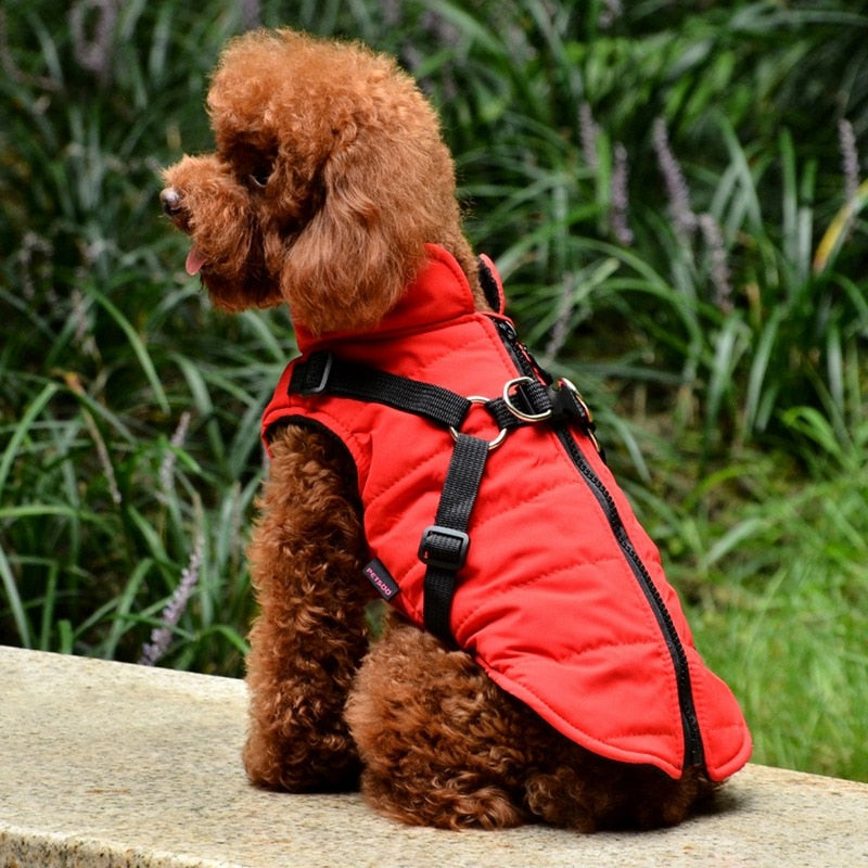 Lisslune | Waterproof pet coat with harness