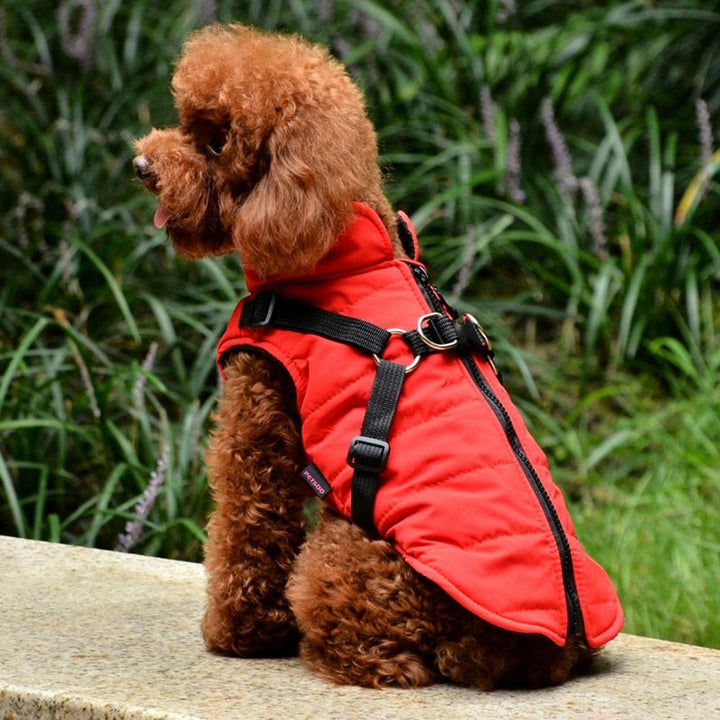 Lisslune | Waterproof pet coat with harness
