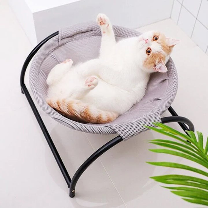 Lisslune | Floor Cat Hammock-With Stand