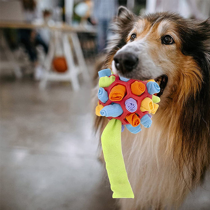 Lisslune | Chew toy for dogs