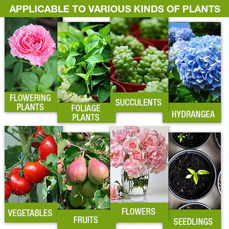 Lisslune | Plant Growth Enhancer Supplement