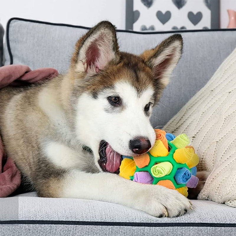Lisslune | Chew toy for dogs