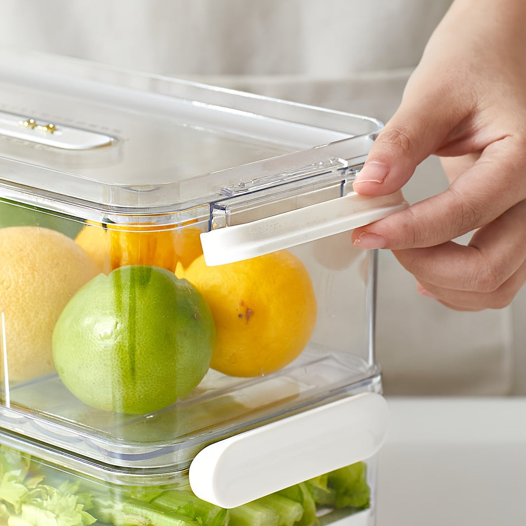 Lisslune | FreshKeep - Durable PET Container for Extended Freshness