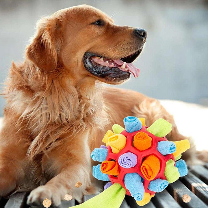 Lisslune | Chew toy for dogs