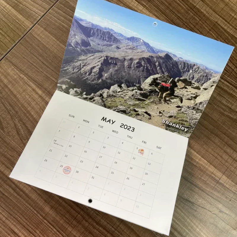 Lisslune | Pooping Pooches Dog Calendar