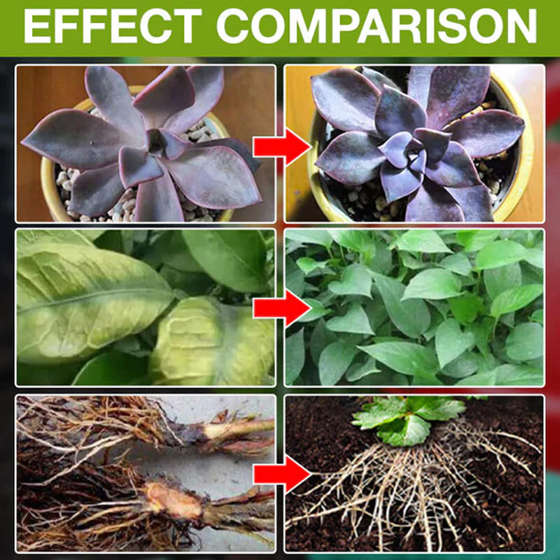 Lisslune | Plant Growth Enhancer Supplement