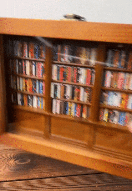 Lisslune | Anxiety Bookshelf | Shake Away Your Anxiety