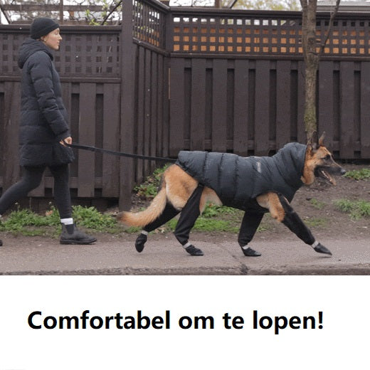 Lisslune | PootShield Dog Boots – Weatherproof Shoes for Every Walk
