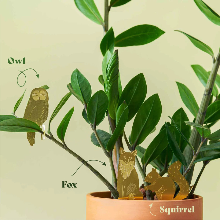 Lisslune | Plant Animal Decorations