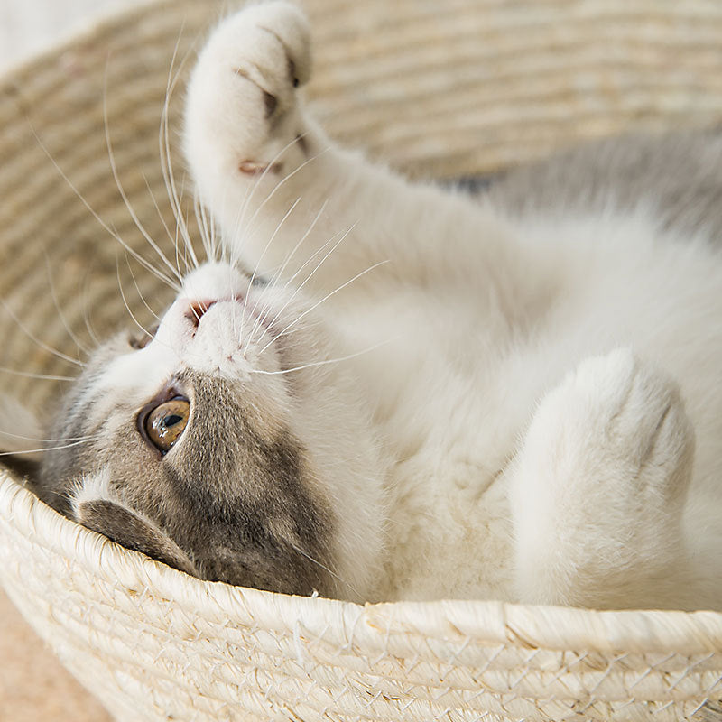 Lisslune | Cat Straw Bed