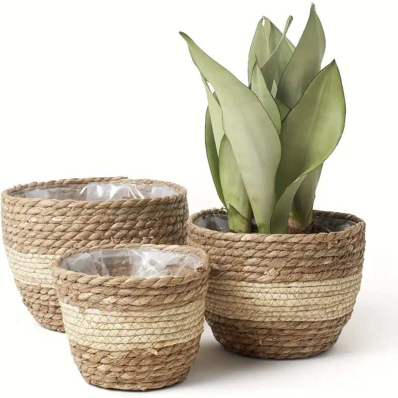 Lisslune | Decorative plant baskets made of seagrass in a set of 3 – Handwoven flower pots with foil insert