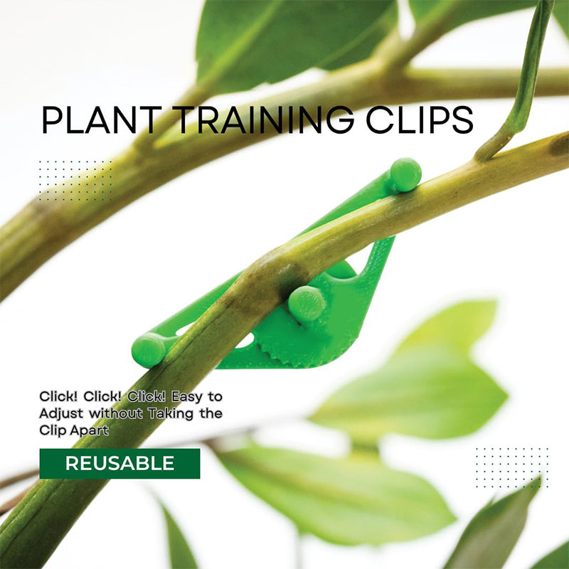 Lisslune | Plant bending tools