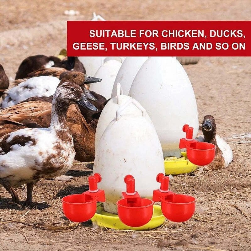 Lisslune | Automatic Chicken Water Cup Bird Coop