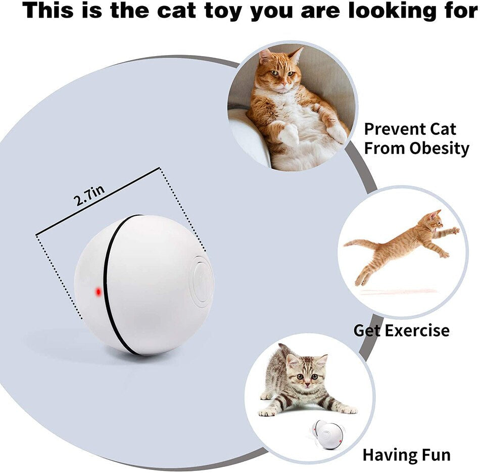 Lisslune | Smart Interactive Pet Ball