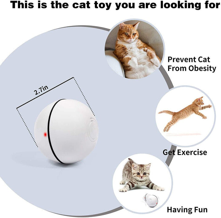 Lisslune | Smart Interactive Pet Ball