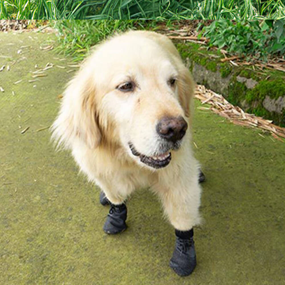 Lisslune | Outdoor waterproof breathable hiking running non-slip dog shoes