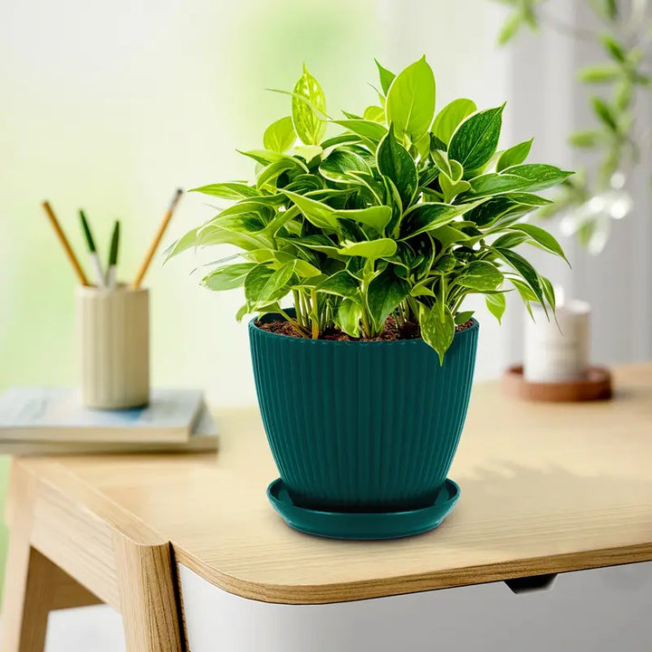 Lisslune | Flower pot with groove structure and saucer – Sturdy plastic pot for plants