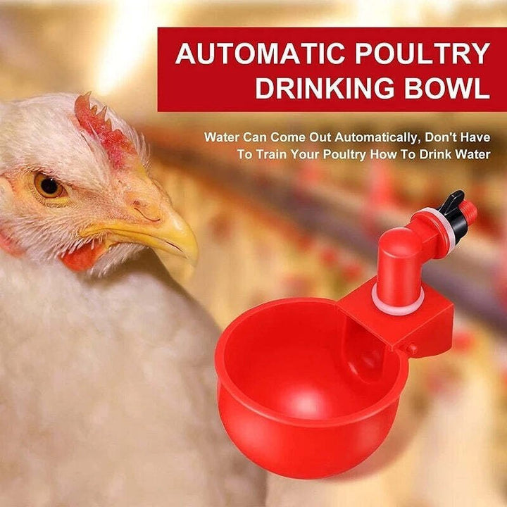 Lisslune | Automatic Chicken Water Cup Bird Coop