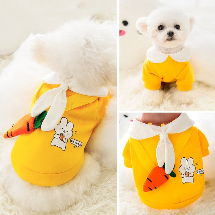 Lisslune | Satchel pet clothes