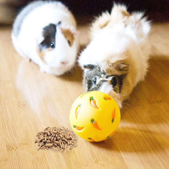 Lisslune | Interactive Rabbit Treat Ball