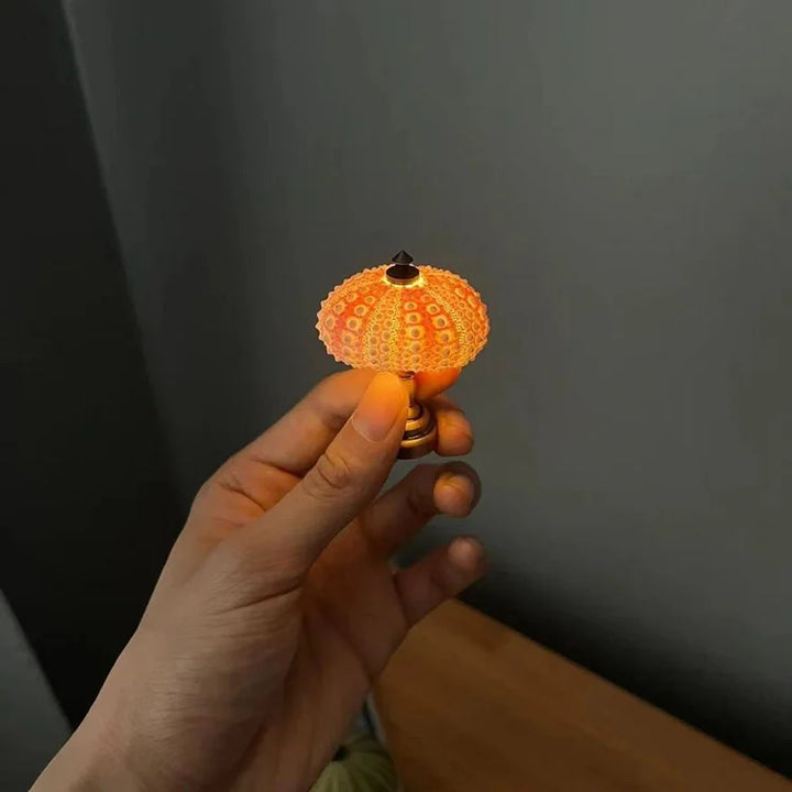 Lisslune | LumiCraft – Unique DIY table lamp with natural sea shell for a cozy décor