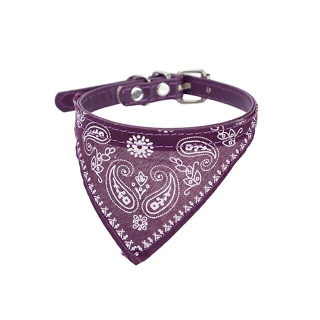 Lisslune | Pet Collar