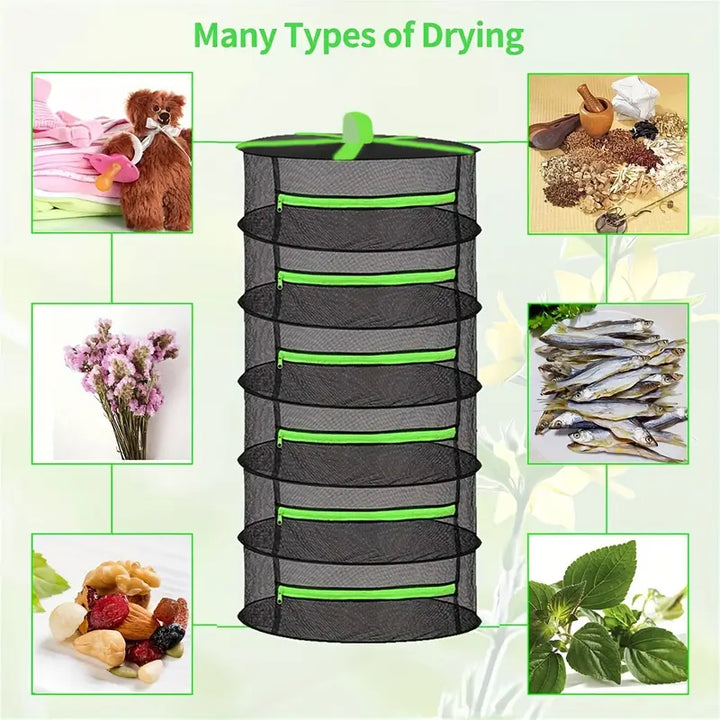 Lisslune | Foldable drying basket for fruits, vegetables, and herbs – Multi-tier net storage for quick drying process