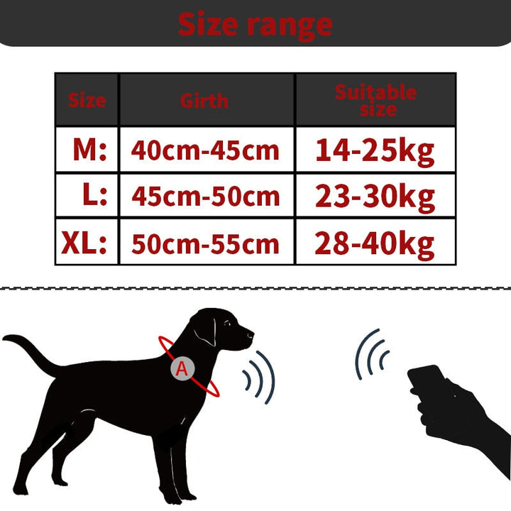 Lisslune | Anti-lost pet dog collar