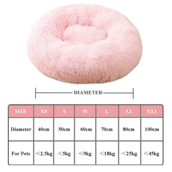 Lisslune | Cat Sky bed