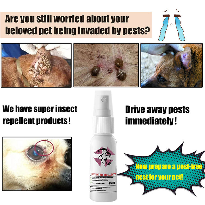Lisslune | Instant Equine Insect Repellent