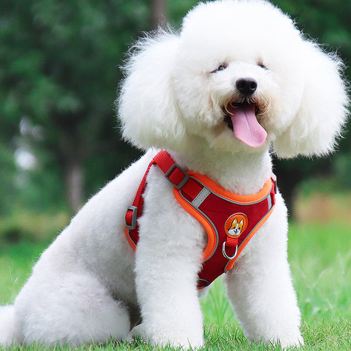 Lisslune | Reflective Pet Harness and Leash Set