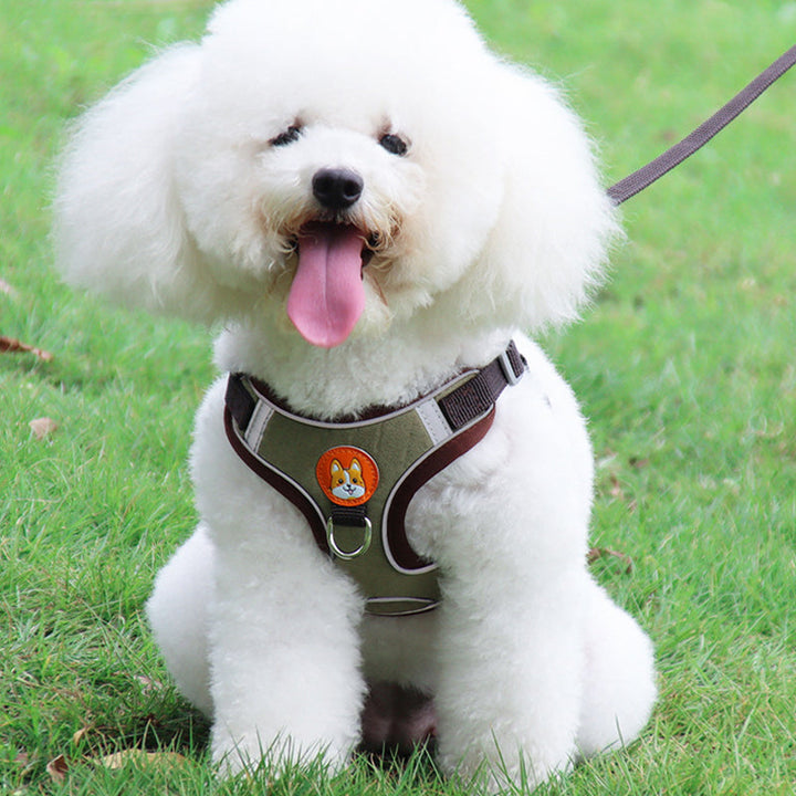 Lisslune | Reflective Pet Harness and Leash Set