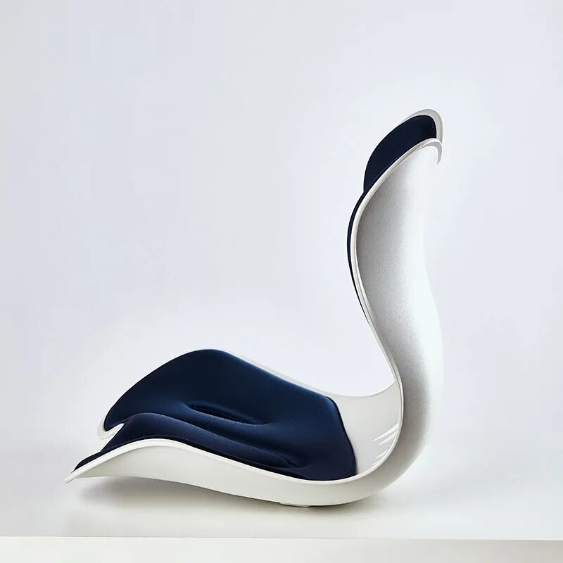 Lisslune | Back Support Memory Foam Seat Cushion