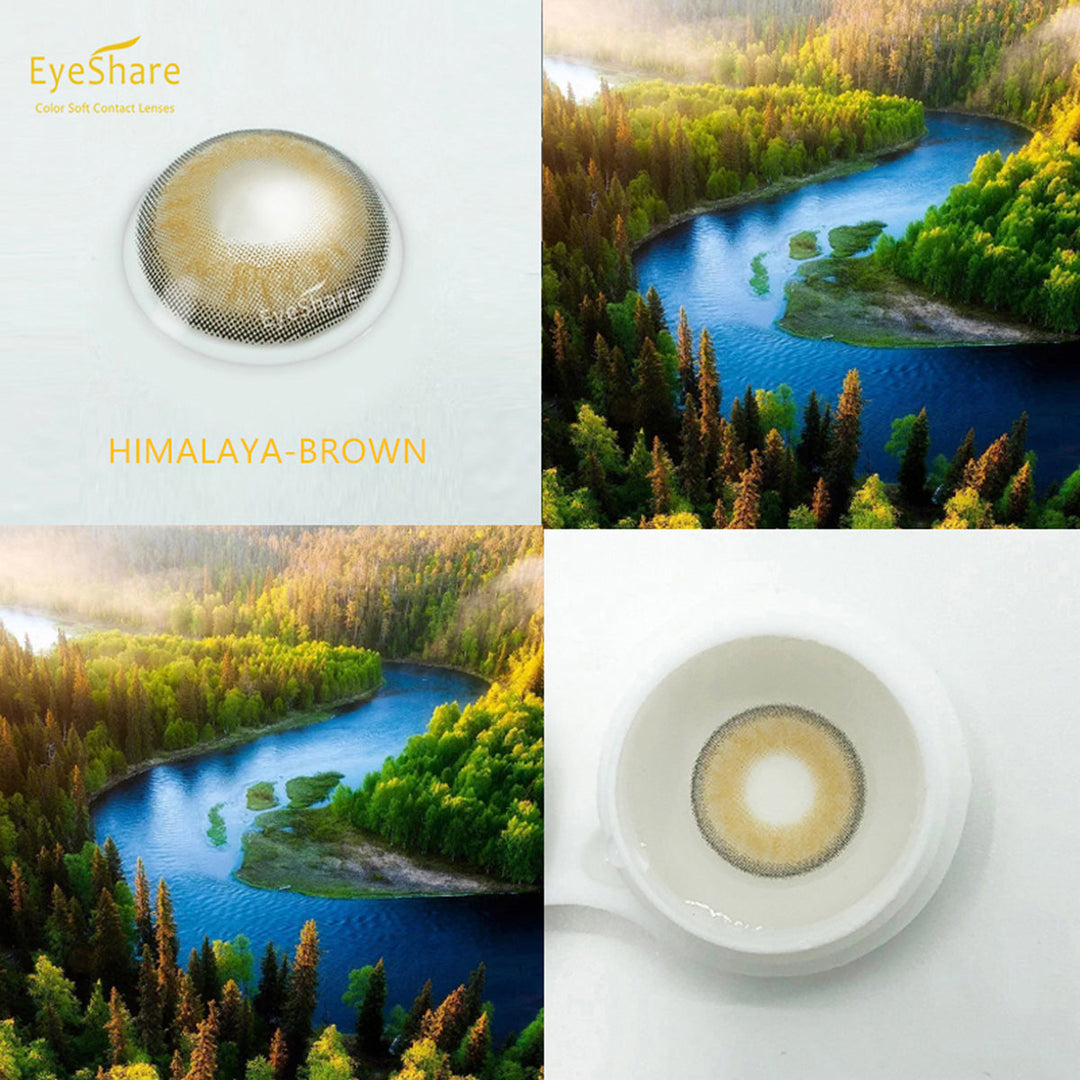 Rynx Himalaya Brown 14.0mm 1 Pair | 1 Year