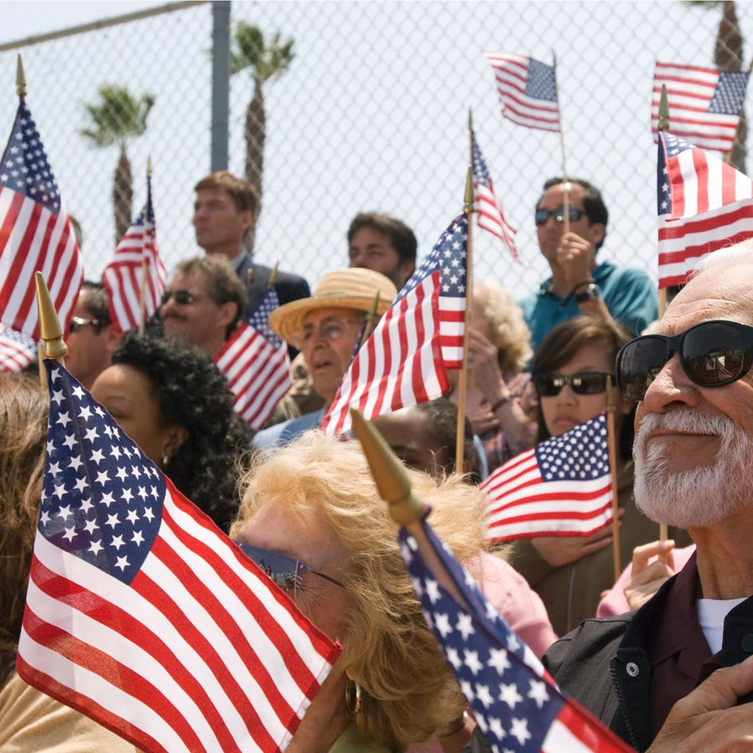 Lisslune | 100-Pack: USA 4x6 in wooden stick flag