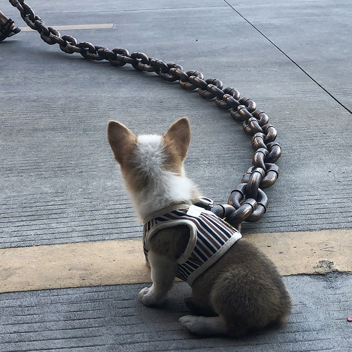 Lisslune | Funny Large Dog Collar