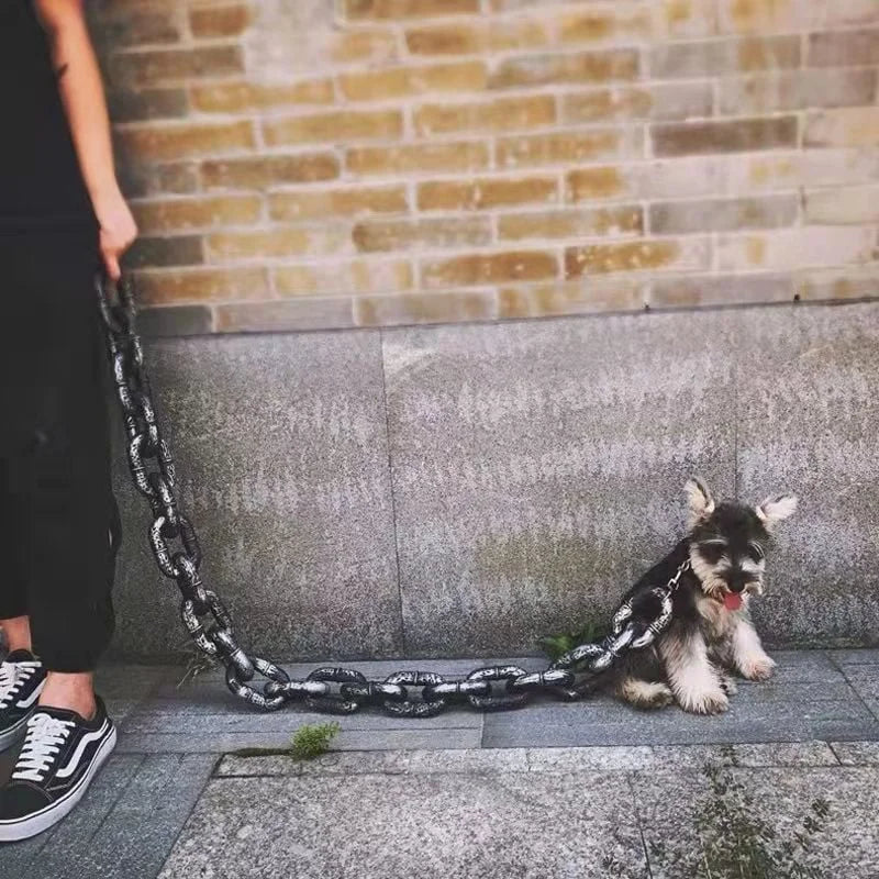 Lisslune | Funny Large Dog Collar