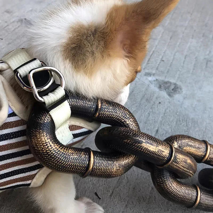 Lisslune | Funny Large Dog Collar