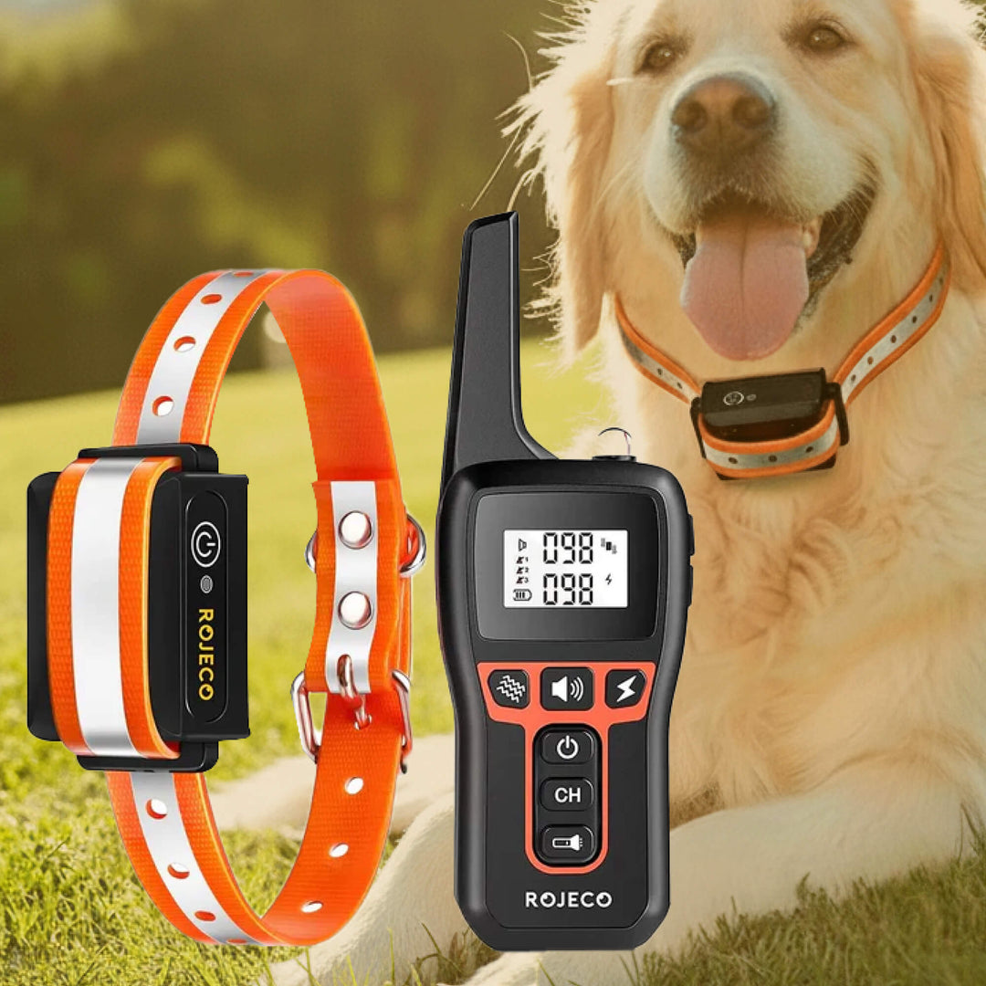 Lisslune | 1000m Waterproof Dog Training Collar | Rechargeable, Remote Control & Adjustable for Small, Medium, and Large Dogs