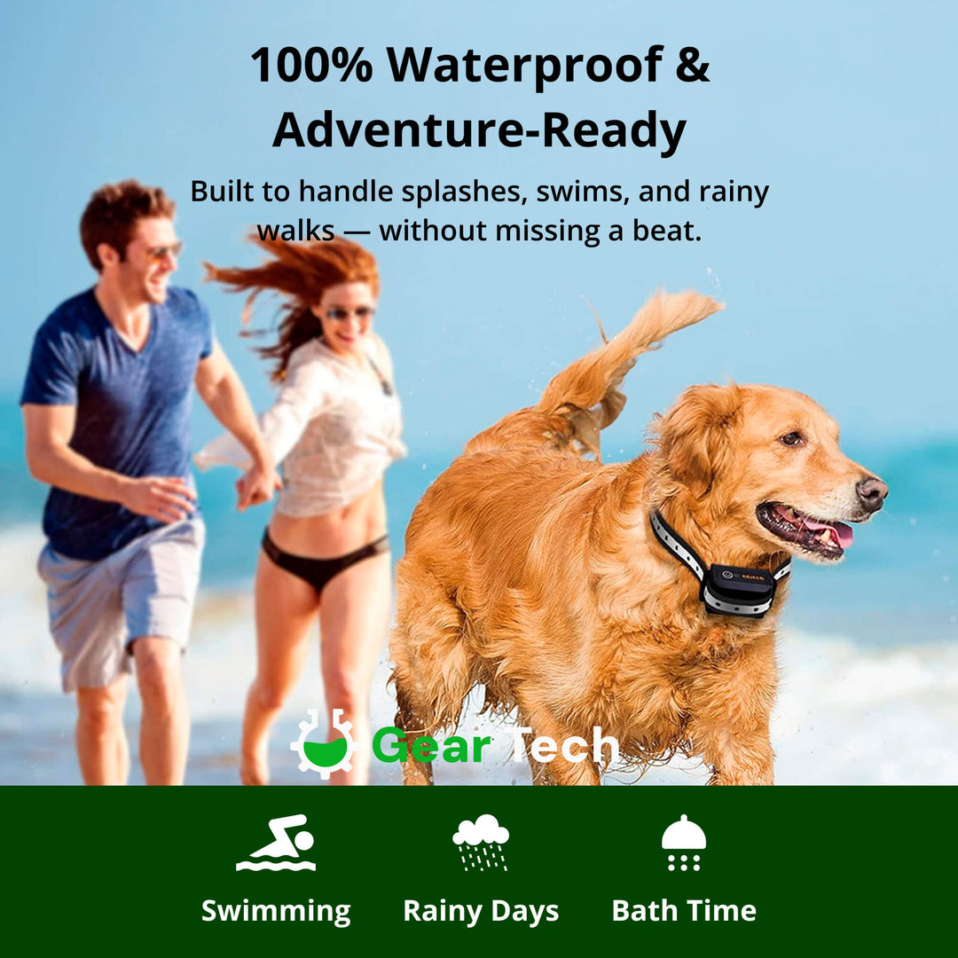 Lisslune | 1000m Waterproof Dog Training Collar | Rechargeable, Remote Control & Adjustable for Small, Medium, and Large Dogs