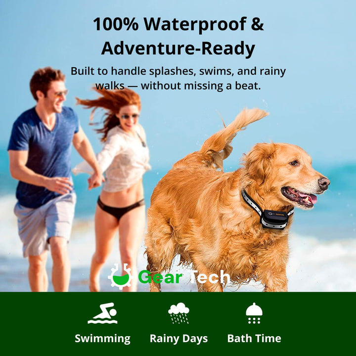 Lisslune | 1000m Waterproof Dog Training Collar | Rechargeable, Remote Control & Adjustable for Small, Medium, and Large Dogs