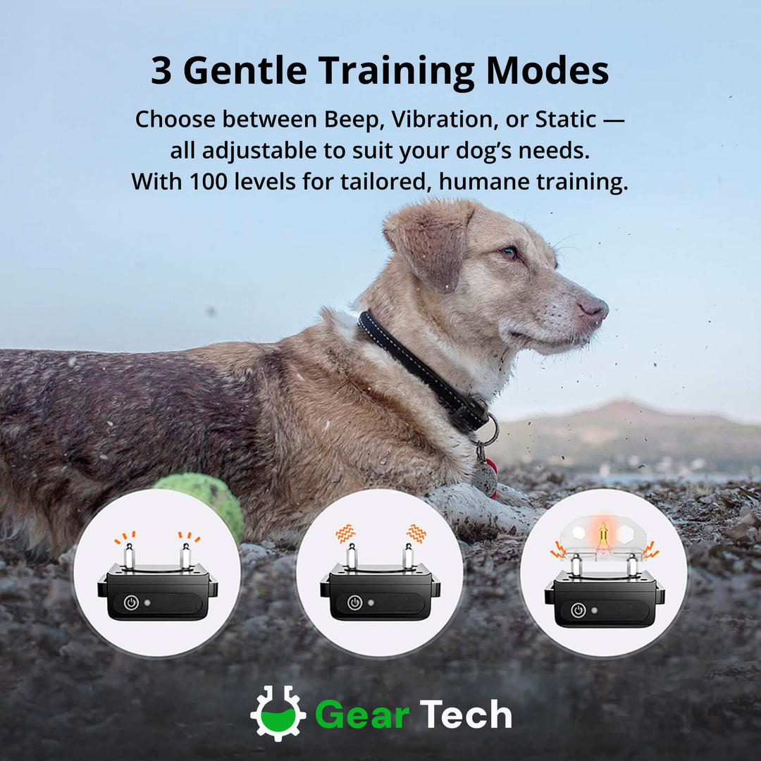 Lisslune | 1000m Waterproof Dog Training Collar | Rechargeable, Remote Control & Adjustable for Small, Medium, and Large Dogs