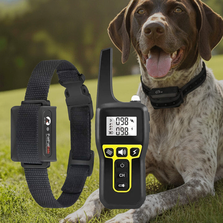 Lisslune | 1000m Waterproof Dog Training Collar | Rechargeable, Remote Control & Adjustable for Small, Medium, and Large Dogs