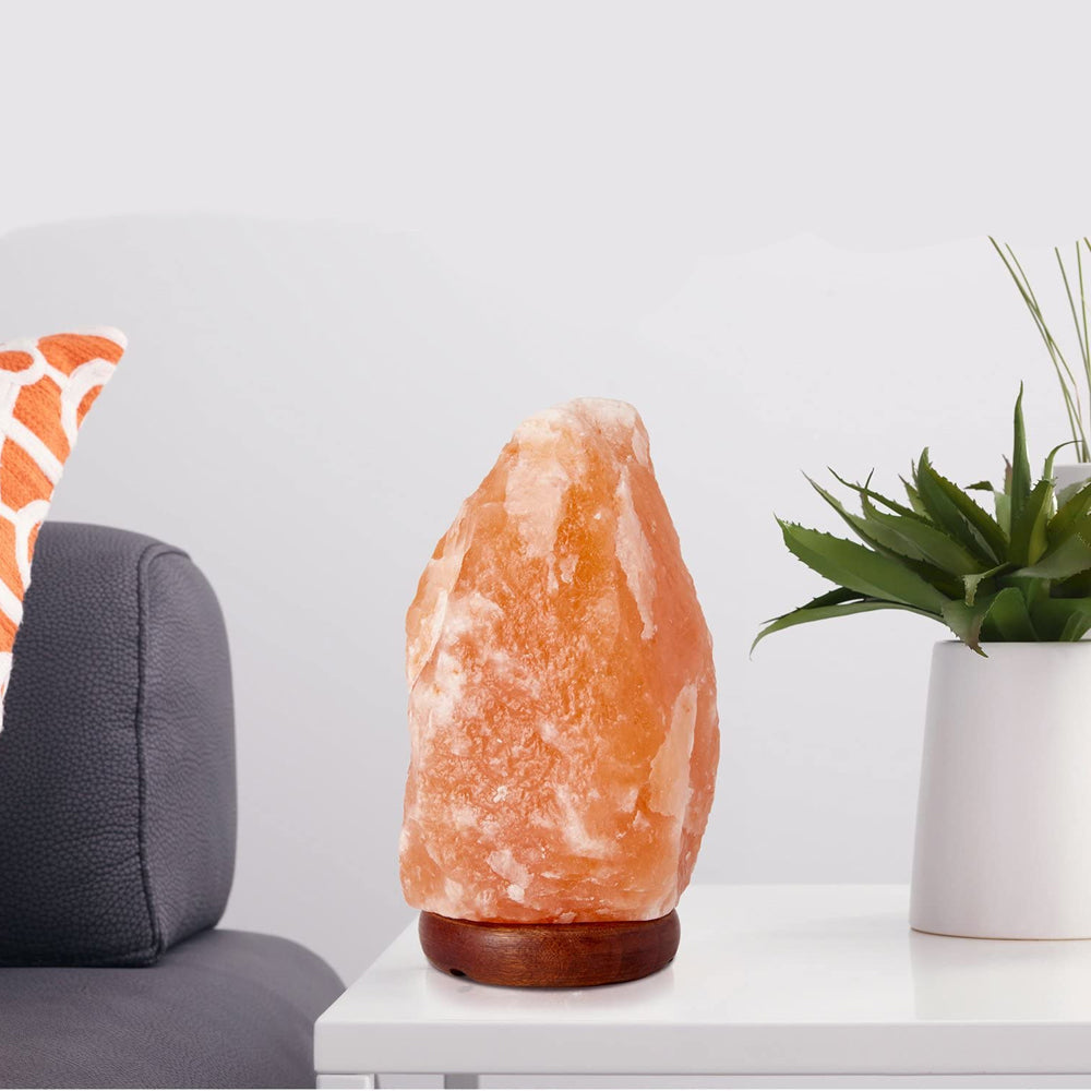 Lisslune | Himalayan Salt Lamp with Dimmer Switch