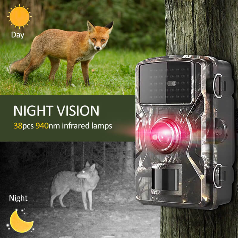 Lisslune | 2x Night Vision Outdoor Wildlife Animal Cam Camera