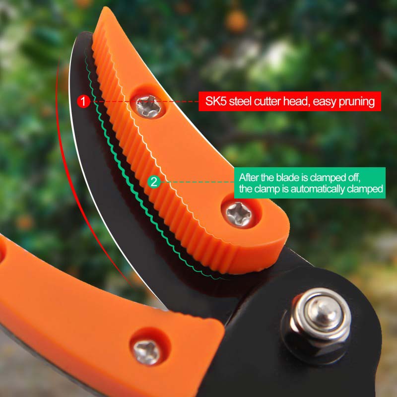 Lisslune | TrimReach – Effortless Cutting of Tall Hedges