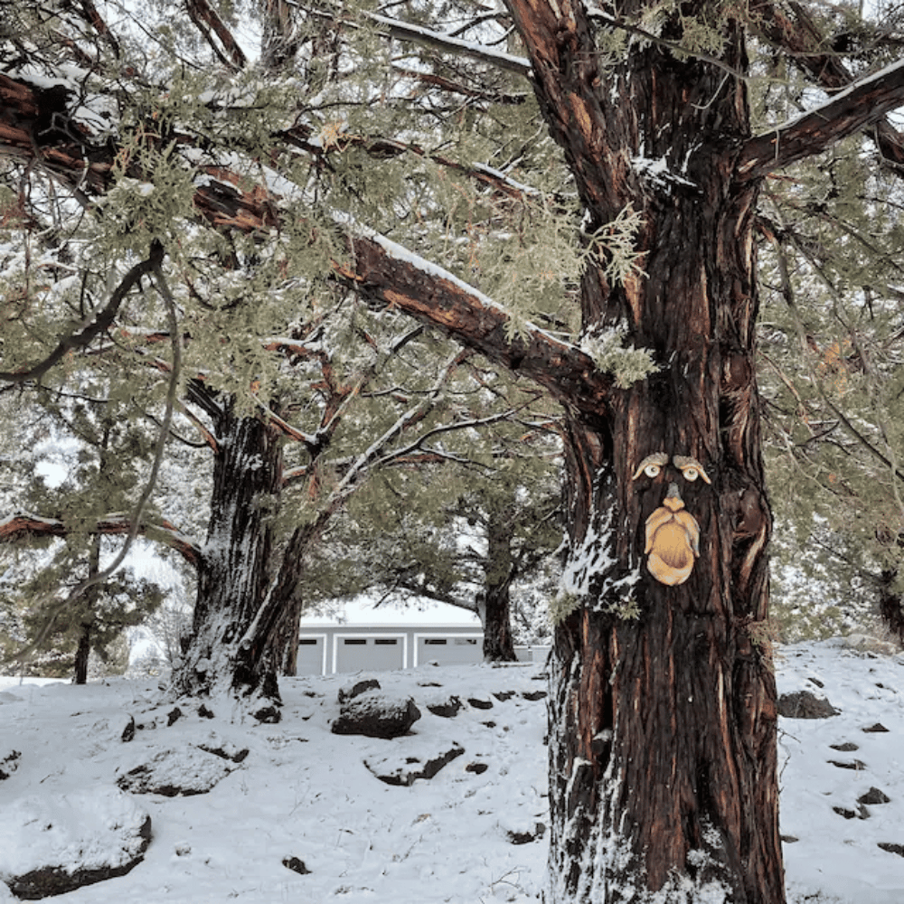 Lisslune | TreeFace - Bird feeding station in the form of a face