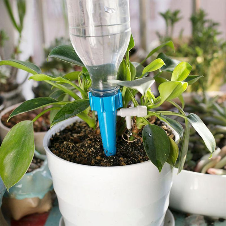 Lisslune | Irrigation System For Potted Plants